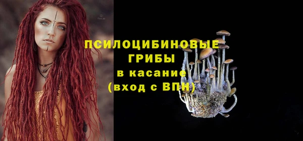 метадон Арсеньев