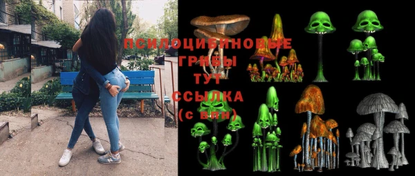 метадон Арсеньев