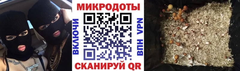 Псилоцибиновые грибы Psilocybine cubensis дарнет шоп Серов